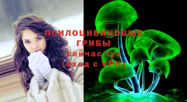 бошки Алзамай