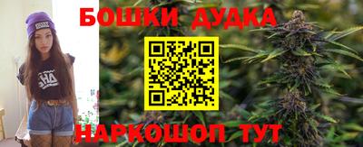 a pvp Гагарин