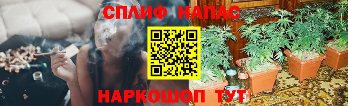 Гусь-Хрустальный  Конопля VHQ  Вход с VPN  МАРИХУАНА план  Марихуана ГИДРОПОН 